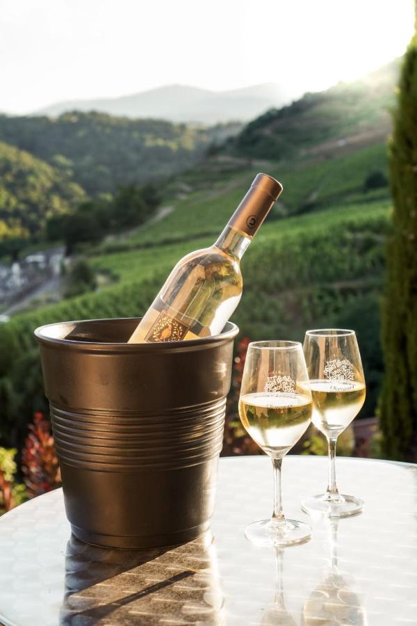 Wine Passion Panoramic Hotel Chavanay Exterior foto