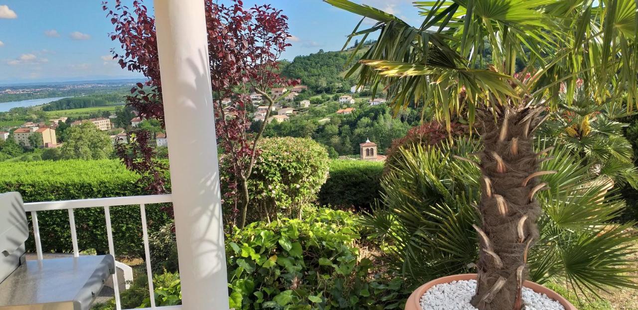 Wine Passion Panoramic Hotel Chavanay Exterior foto