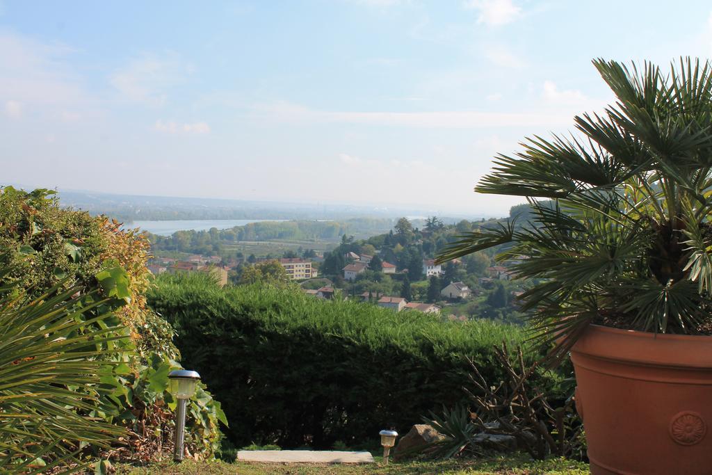 Wine Passion Panoramic Hotel Chavanay Exterior foto